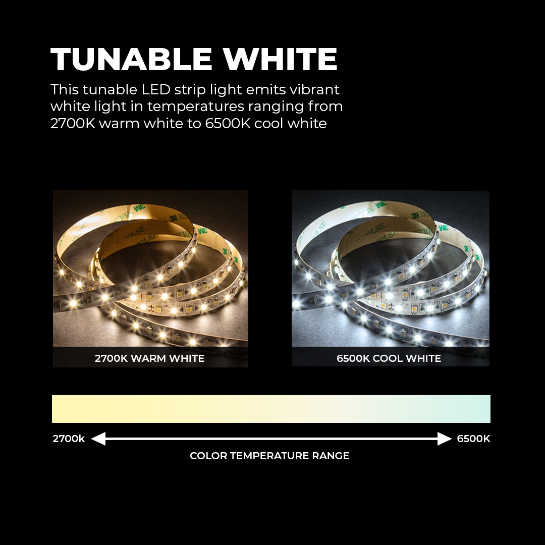 Tunable White LED Strip Light Kit - 5m White LED Tape Light - Wireless RF Remote - STN-H80-B12A-10C5M-24V-1-TW